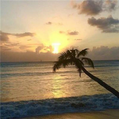 28网站下载手机版