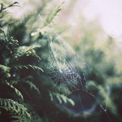 大发彩票app下载