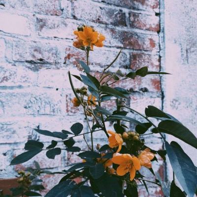 火狐·体育截图