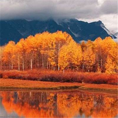 南宫ng28官方网站最新版